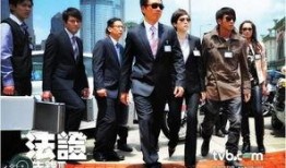 法政先锋3在线观看,正义之战，法律之光